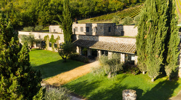 ARILLO IN TERRABIANCA